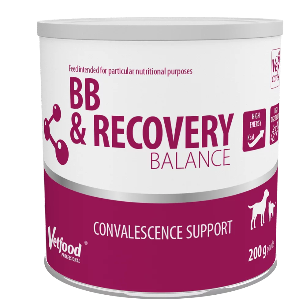 BB & Recovery Balance