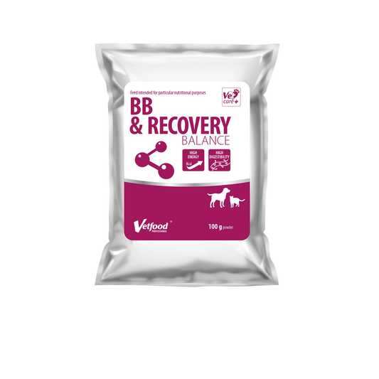 BB & Recovery Balance