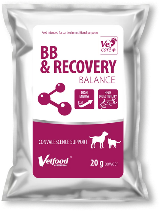 BB & Recovery Balance
