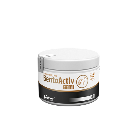 BentoActiv Mini