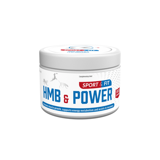 HMB POWER 150 g