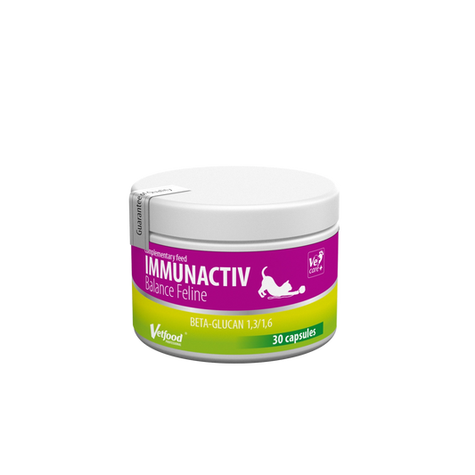 Immunactiv Balance Feline 30 kapsz. (1+1 AKCIÓ)